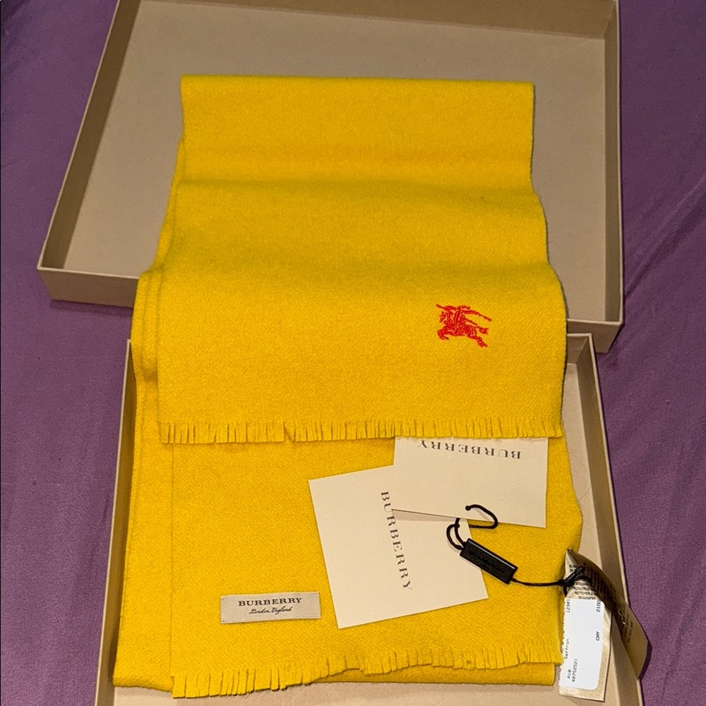 Burberry Scarf with Burberry Box (Brand New)
